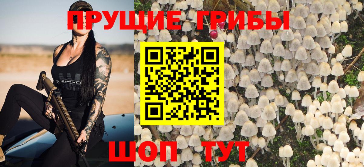 Таганрог  Псилоцибиновые грибы GOLDEN TEACHER  Вход с VPN 